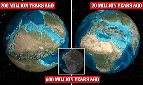 What happened 365 million years ago?